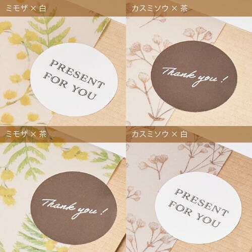 バラエティ3種セット | TEAtriCO ティートリコ公式オンラインストア